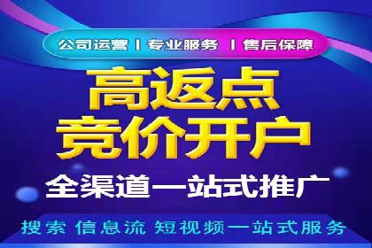 某公司SEM代理策略：实现流量转化